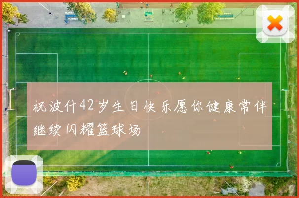 祝波什42岁生日快乐愿你健康常伴继续闪耀篮球场