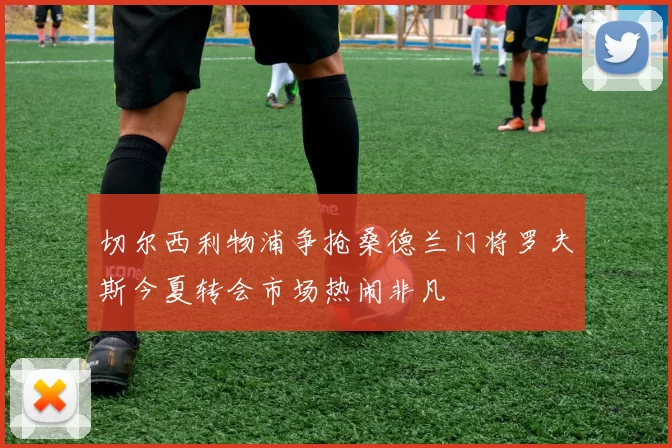 切尔西利物浦争抢桑德兰门将罗夫斯今夏转会市场热闹非凡
